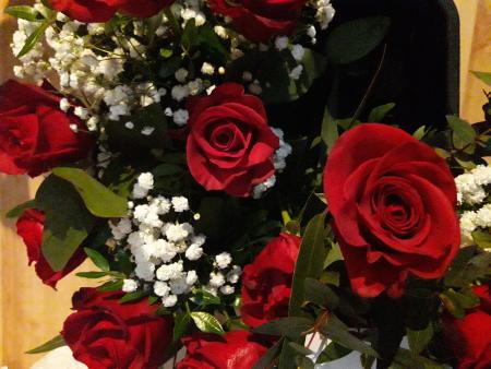 Osso FIestas de la Rosa